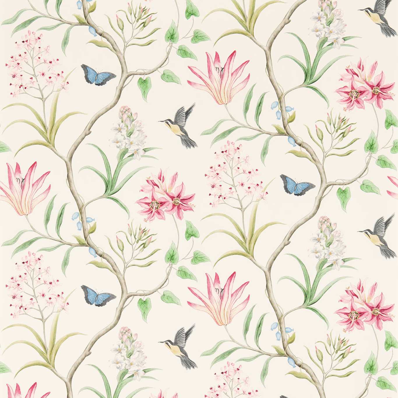Clementine Wallpaper - Chintz - DVOY213388 - Sanderson