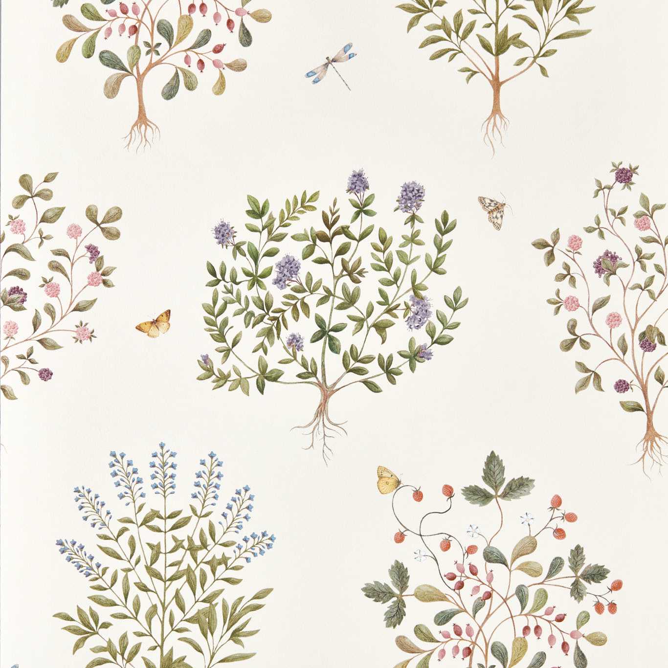 Thyme Walk Wallpaper