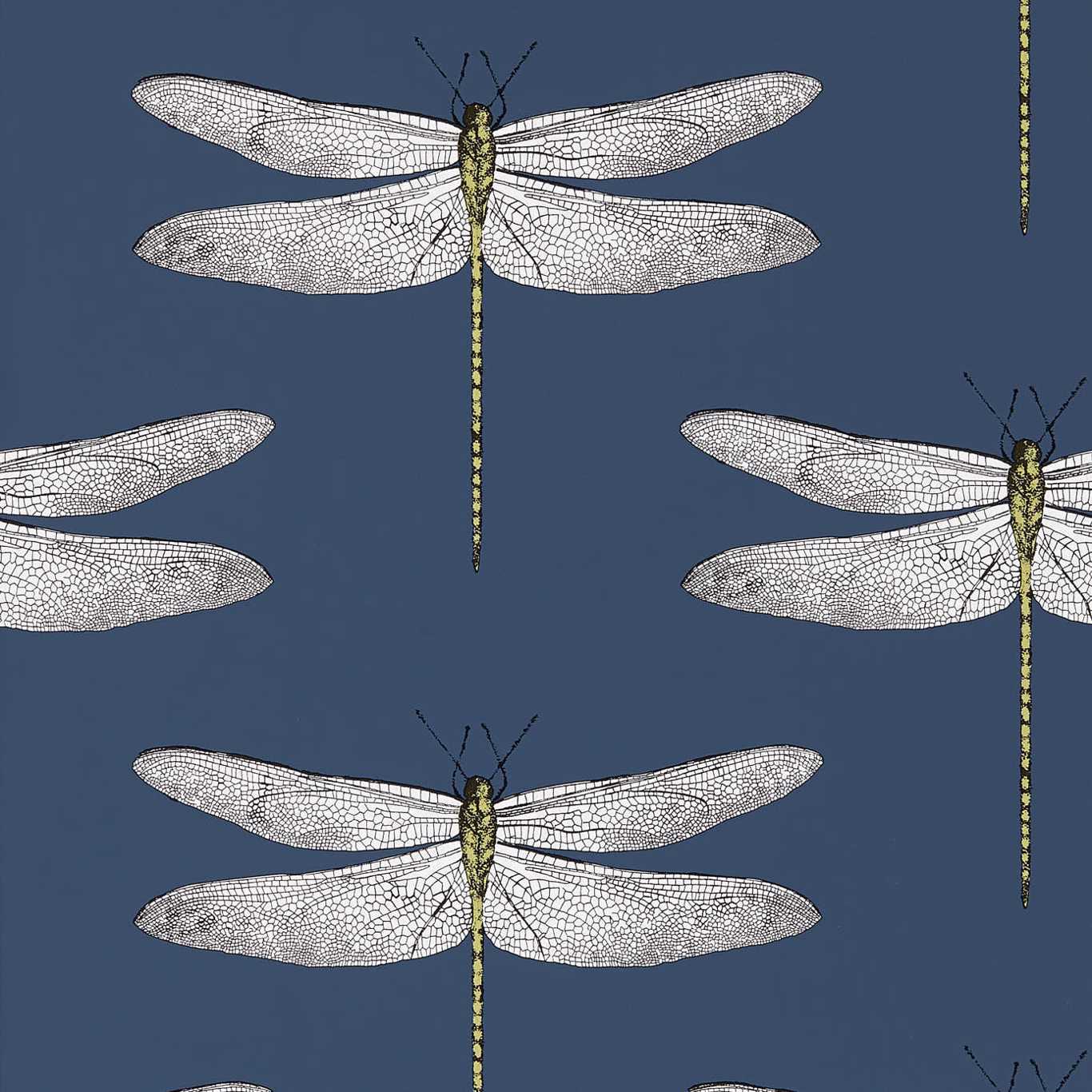 Demoiselle Wallpaper - Ink/Chartreuse - HGAT111243 - Harlequin
