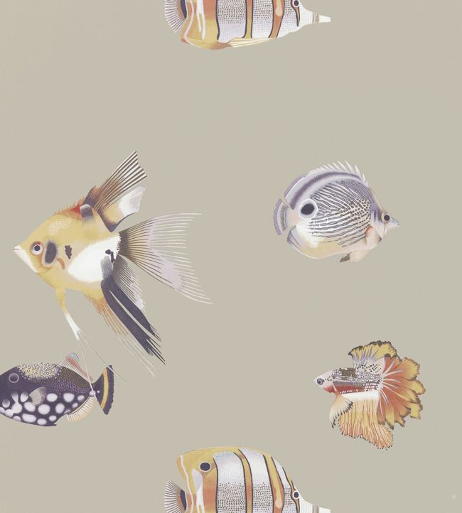 Kamanu Wallpaper - Mandarin/Fig - HANZ111647 - Harlequin