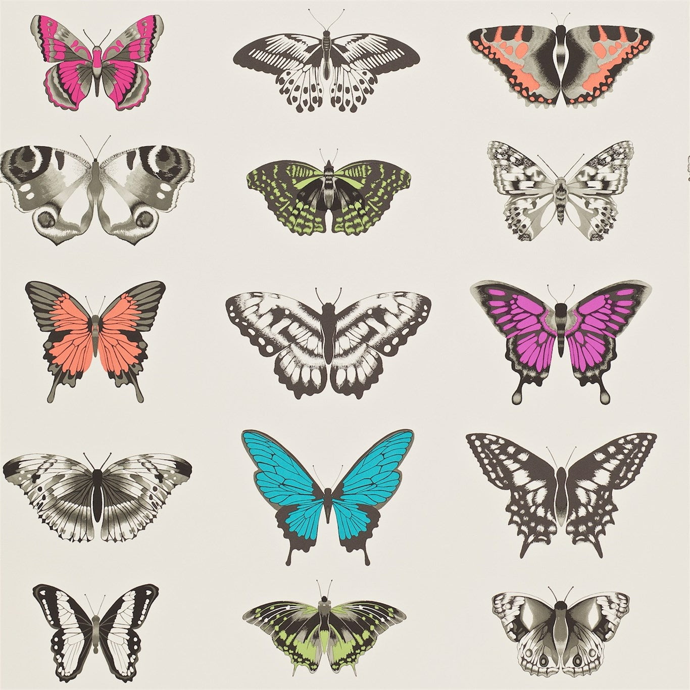 Papilio Wallpaper - Flamingo / Papaya / Olive - HAMA111079 - Harlequin
