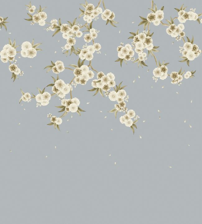 Rosa Wallpaper - Feather Grey/ Paper Lantern/Oyster - HDHW112888 - Harlequin
