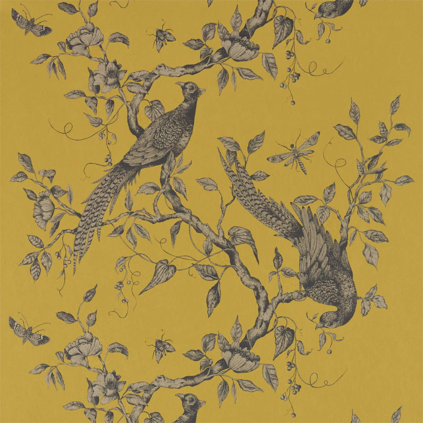 Darnley Wallpaper - Dove - ZDAR312849 - Zoffany - Premier Wallcovering
