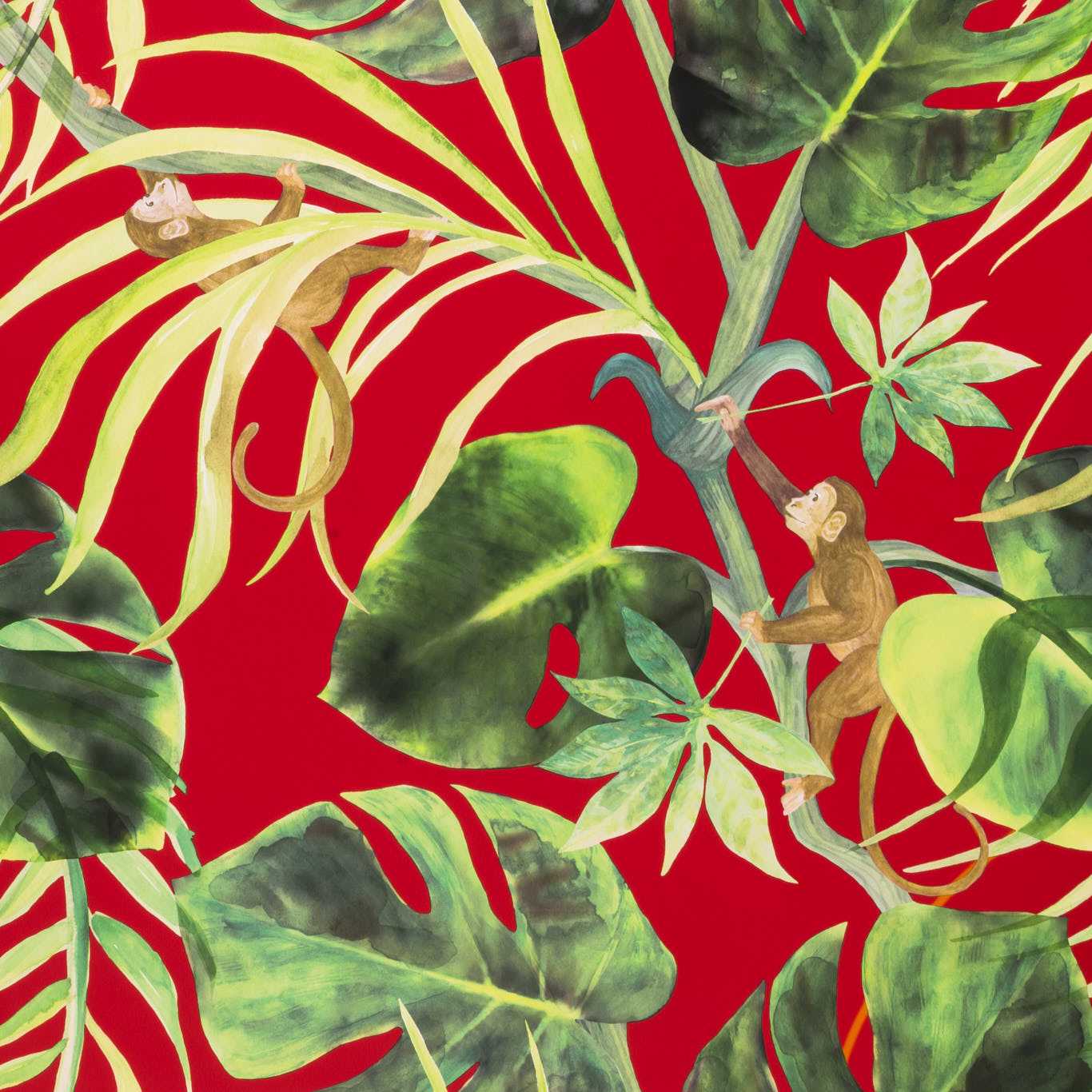 Monkey Business Wallpaper - Gilver - Clarke & Clarke - W0083/02 - Premier Wallcovering