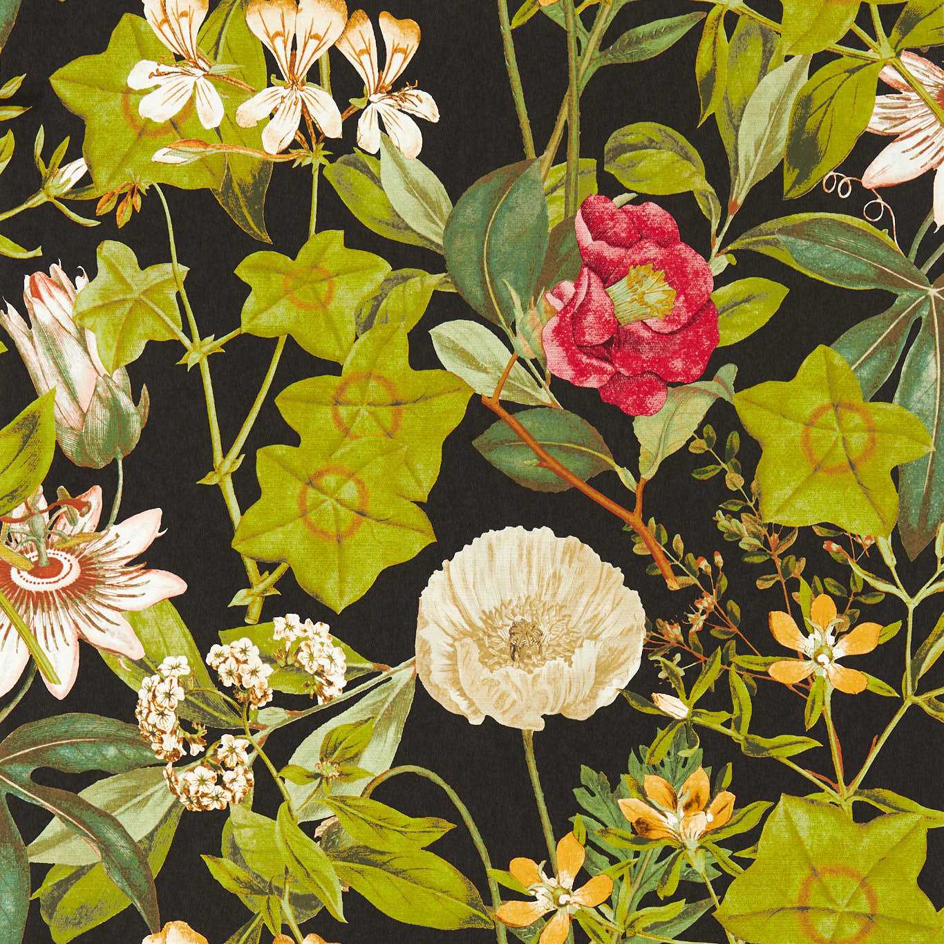 Passiflora Wallpaper - Emerald - Clarke & Clarke - W0143/02 - Premier Wallcovering