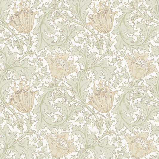 82002 - Anemone Wallpaper - Yellow - Midbec