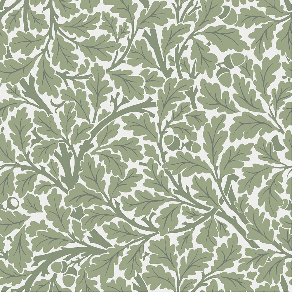 82028 - Oak Tree Wallpaper - White / Green - Midbec