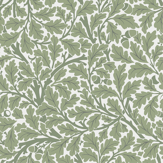82028 - Oak Tree Wallpaper - White / Green - Midbec