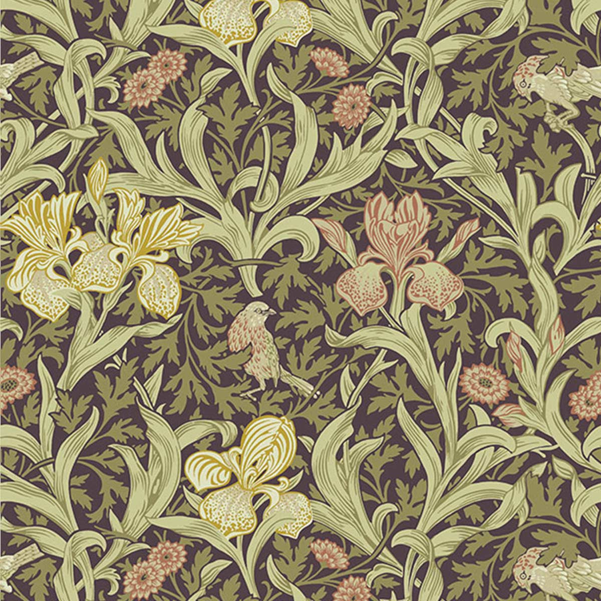 82052 - Iris Wallpaper - Brown / Green - Midbec
