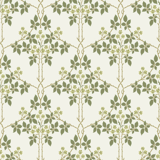 82053 - Blackberry Wallpaper - White / Green  - Midbec