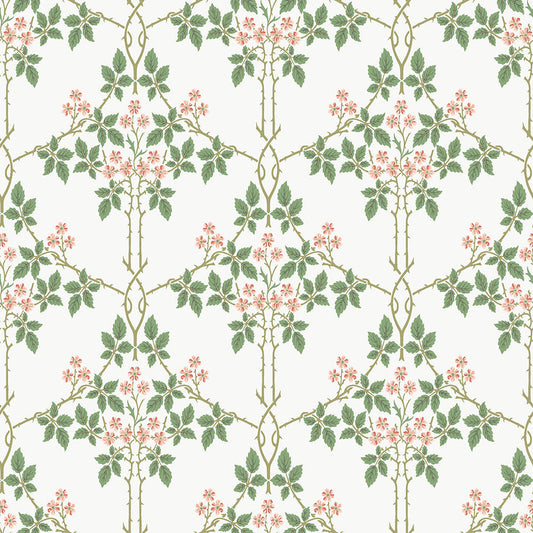 82054 - Blackberry Wallpaper - White / Red - Midbec