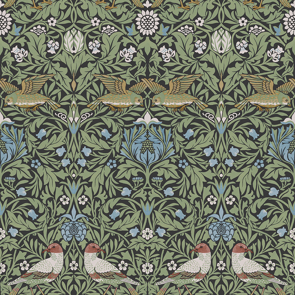 82062 - Bird Wallpaper - Green / Blue - Midbec