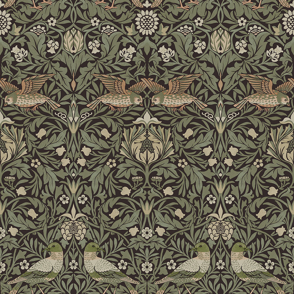 82064 - Bird Wallpaper - Brown / Green - Midbec