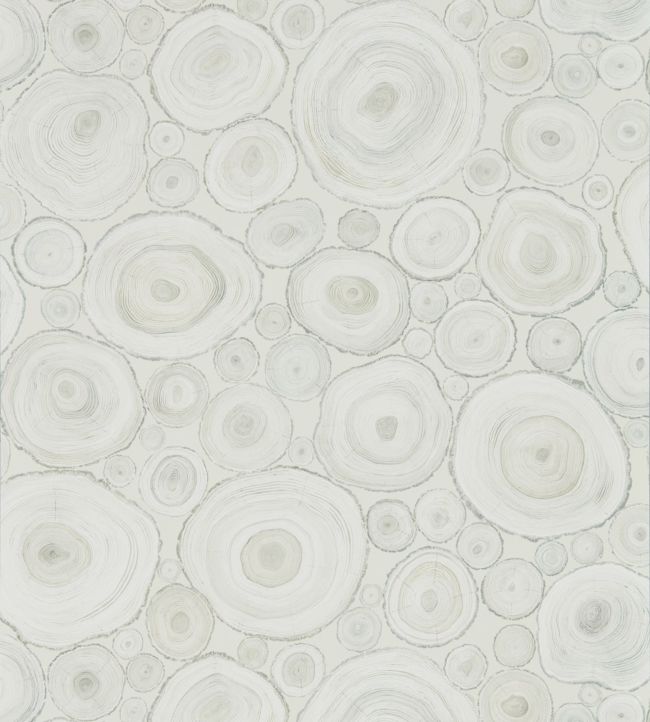 Alnwick Logs Wallpaper - Driftwood - DEBB216508 - Sanderson