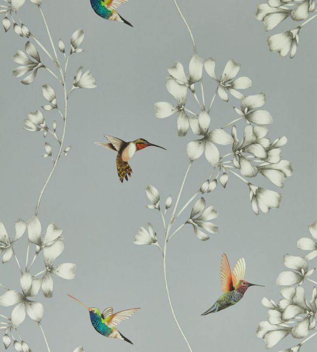 Amazilia Wallpaper - French Grey/Stone - HTEW112605 - Harlequin