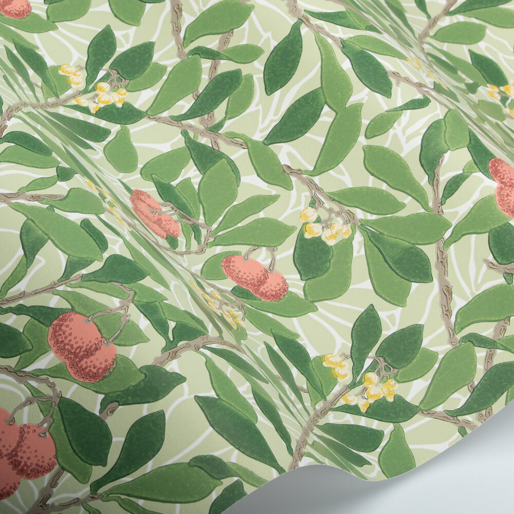 Arbutus Wallpaper - Rose - 217377 - Morris Wallpaper WD