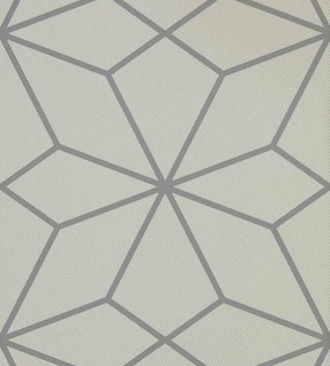 Axal Wallpaper - Slate - HMWF111981 - Harlequin