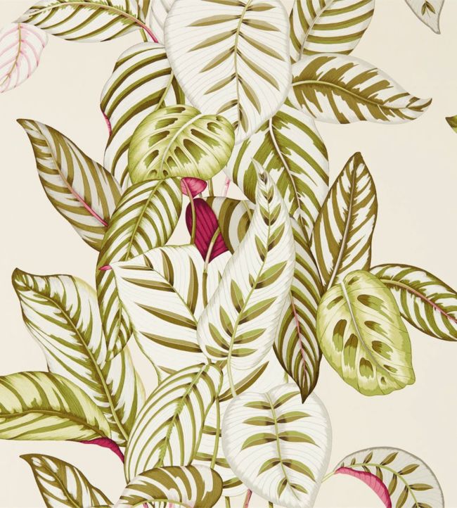 Calathea Wallpaper - Olive - DGLW216631 - Sanderson