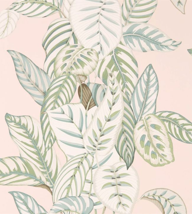Calathea Wallpaper - Orchid/Eucalyptus - DGLW216632 - Sanderson