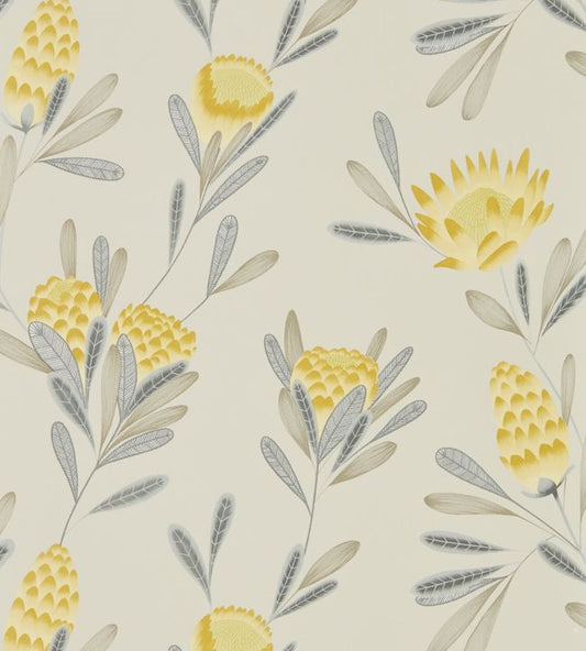 Cayo Wallpaper - Ochre/Linen - HZAP111774 - Harlequin