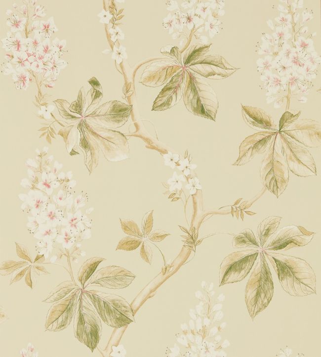 Chestnut Tree Wallpaper - Coral/Bayleaf - DWOW215709 - Sanderson