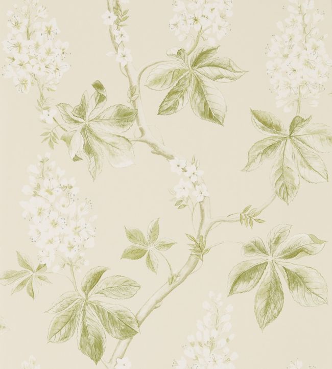 Chestnut Tree Wallpaper - Lemon/Lettuce - DWOW215707 - Sanderson