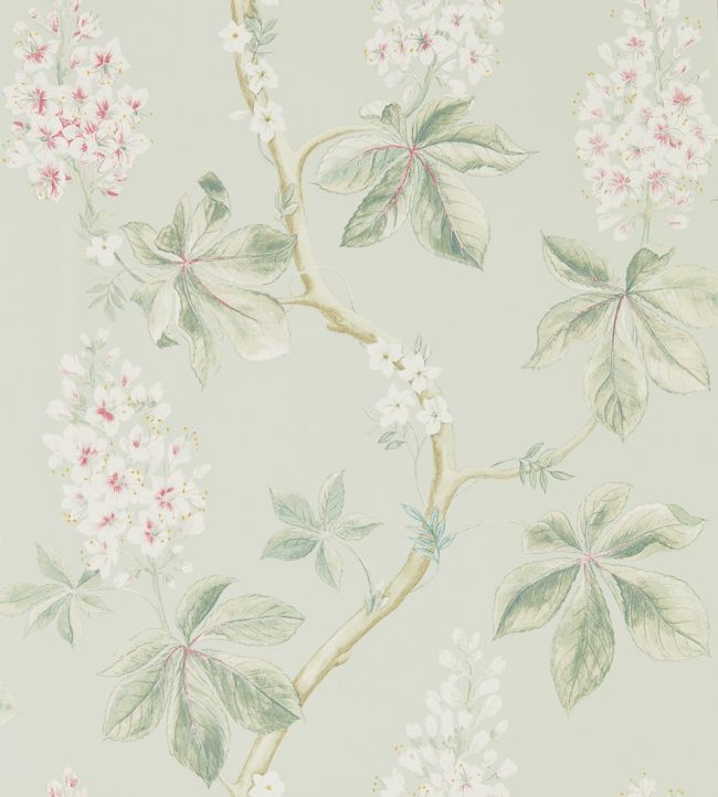Chestnut Tree Wallpaper - Seaspray/Peony - DWOW215710 - Sanderson