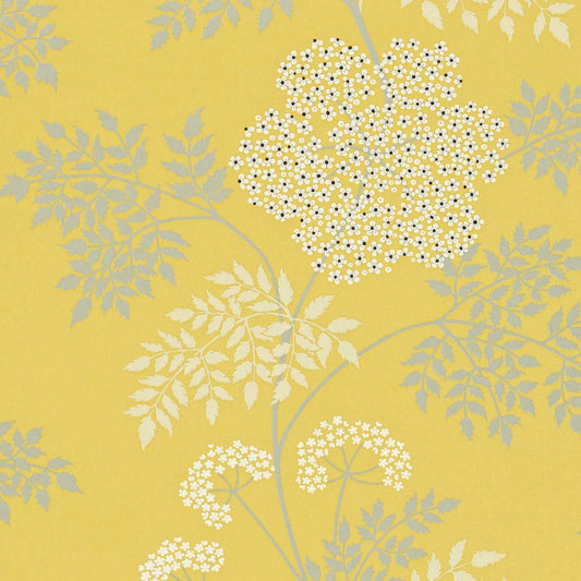 Cowparsley Wallpaper - Chinese Yellow - DOPWCO105 - Sanderson
