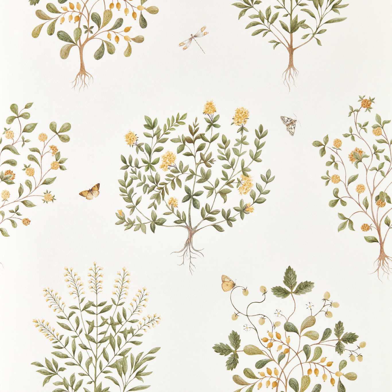 Thyme Walk Wallpaper