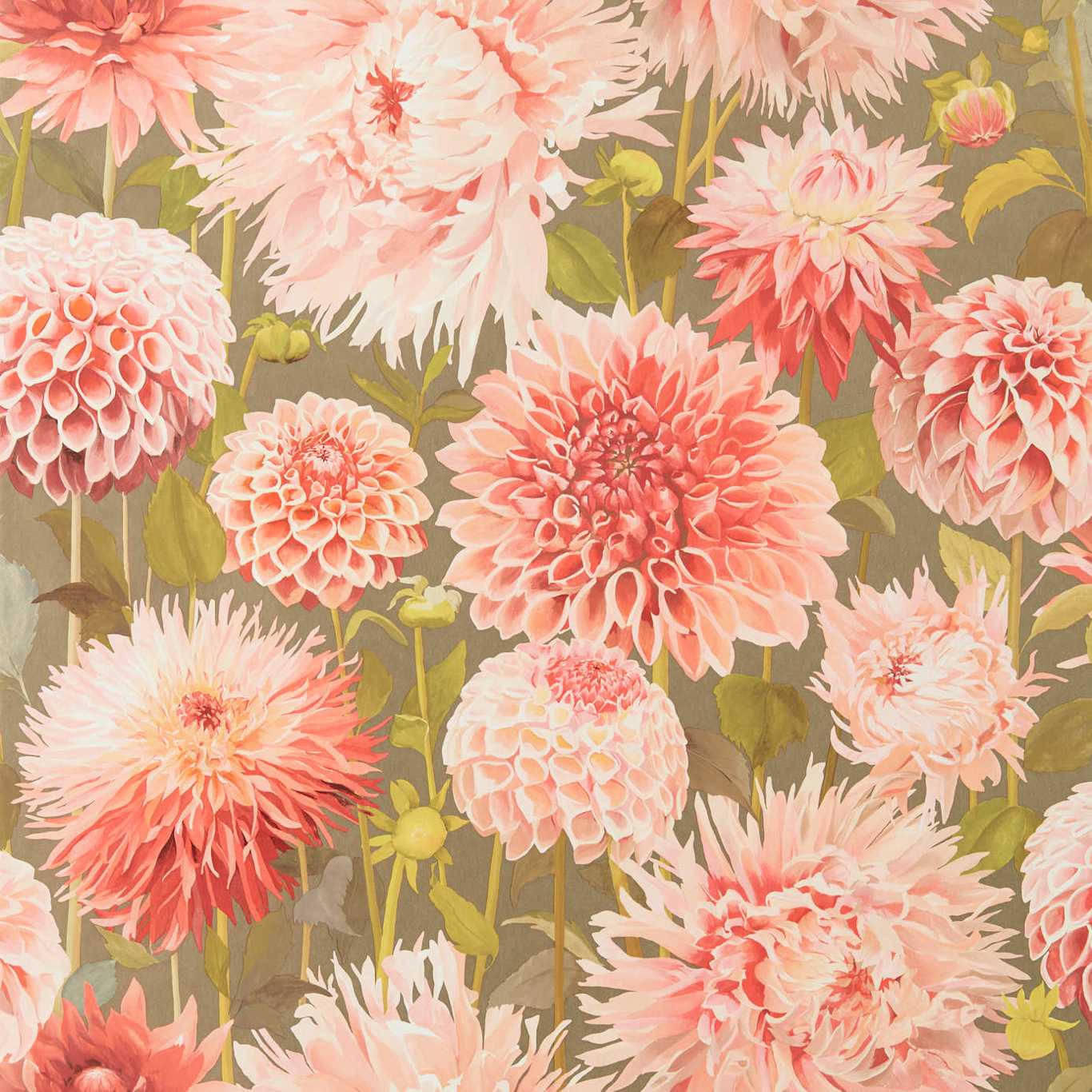 Dahlia Wallpaper - Coral/Fig Leaf/Gilver - HQN2112845 - Harlequin