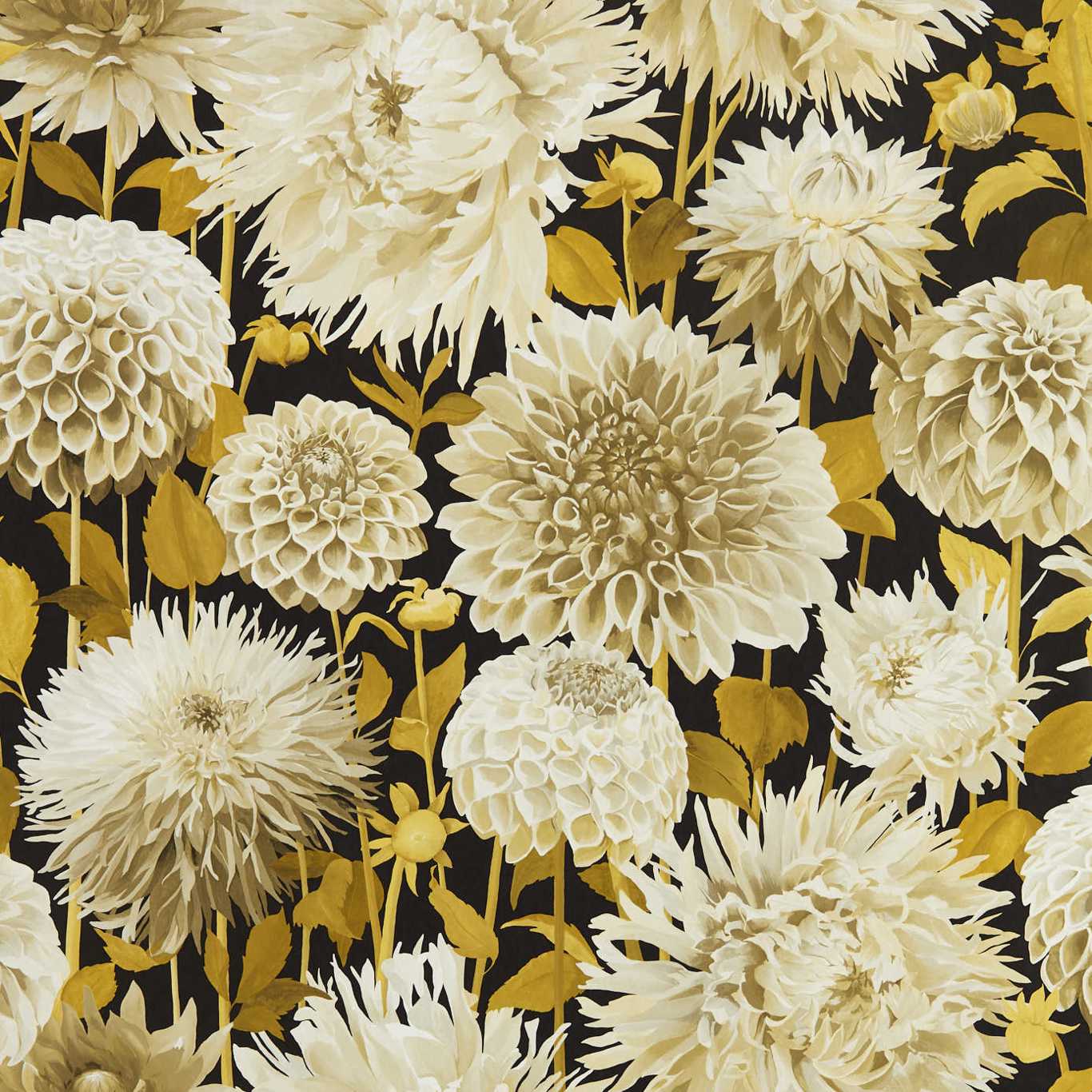 Dahlia Wallpaper - Fig Blossom/Nectar/Black Earth - HQN2112846 - Harlequin