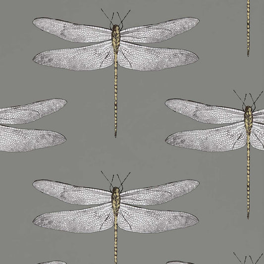 Demoiselle Wallpaper - Graphite/Almond - HGAT111242 - Harlequin