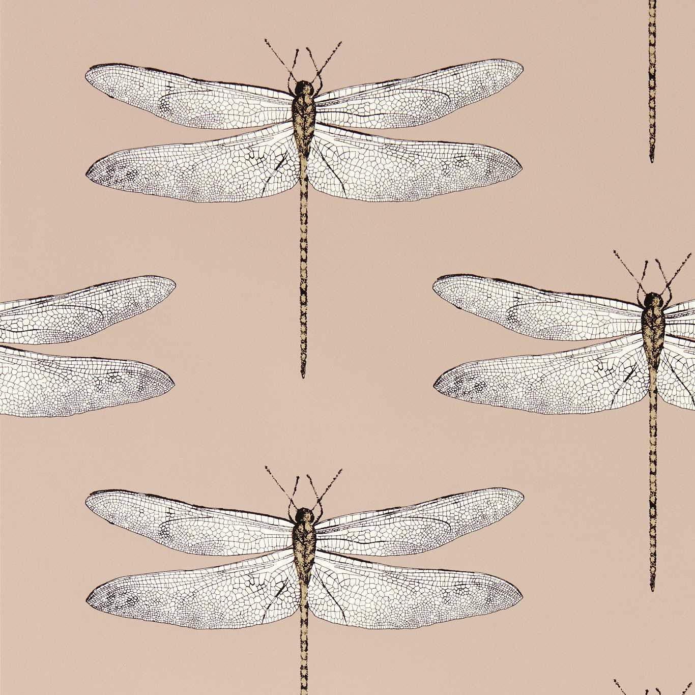 Demoiselle Wallpaper - Positano/First Light/Taupe - HRTW113142 - Harlequin