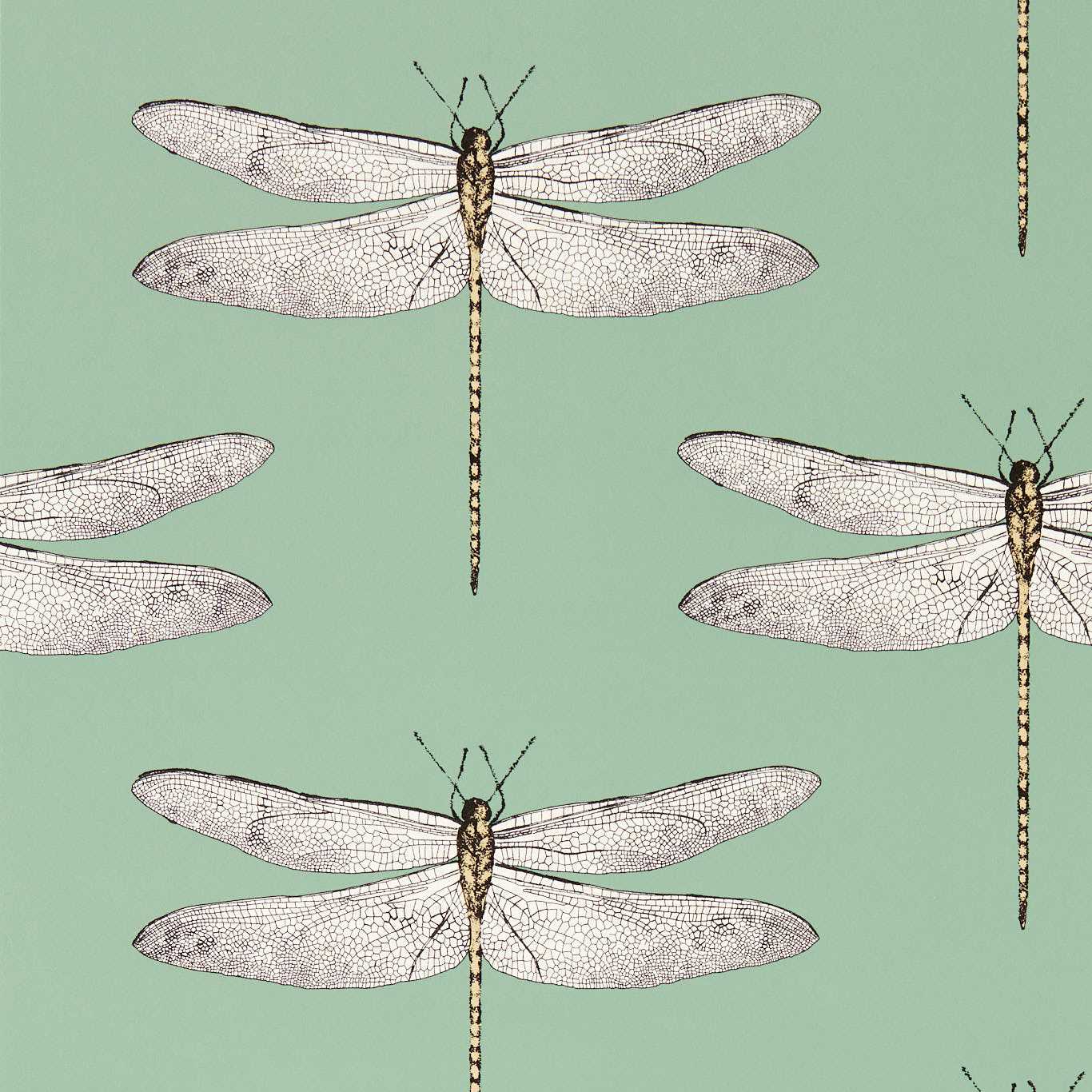 Demoiselle Wallpaper - Seaglass/First Light/Sand - HRTW113145 - Harlequin