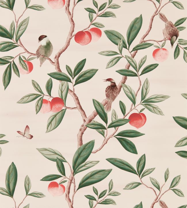 Ella Wallpaper - Powder/ Sage / Peach - HDHW112907 - Harlequin