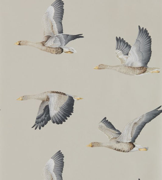Elysian Geese Wallpaper - Gilver - DYSI216611 - Sanderson