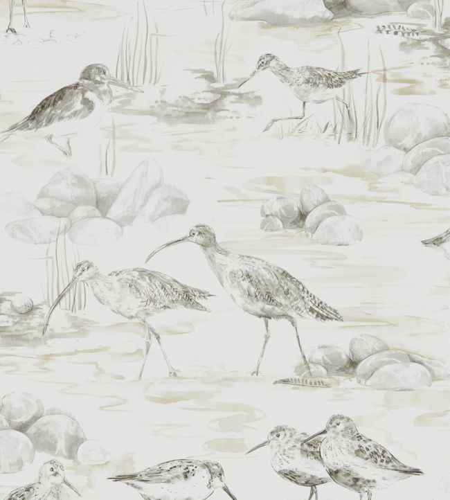 Estuary Birds Wallpaper - Chalk/Sepia - DEBB216493 - Sanderson