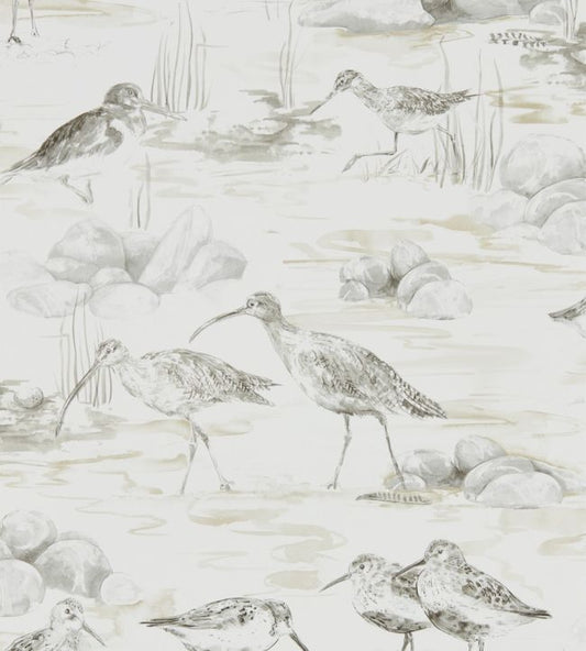 Estuary Birds Wallpaper - Chalk/Sepia - DEBB216493 - Sanderson