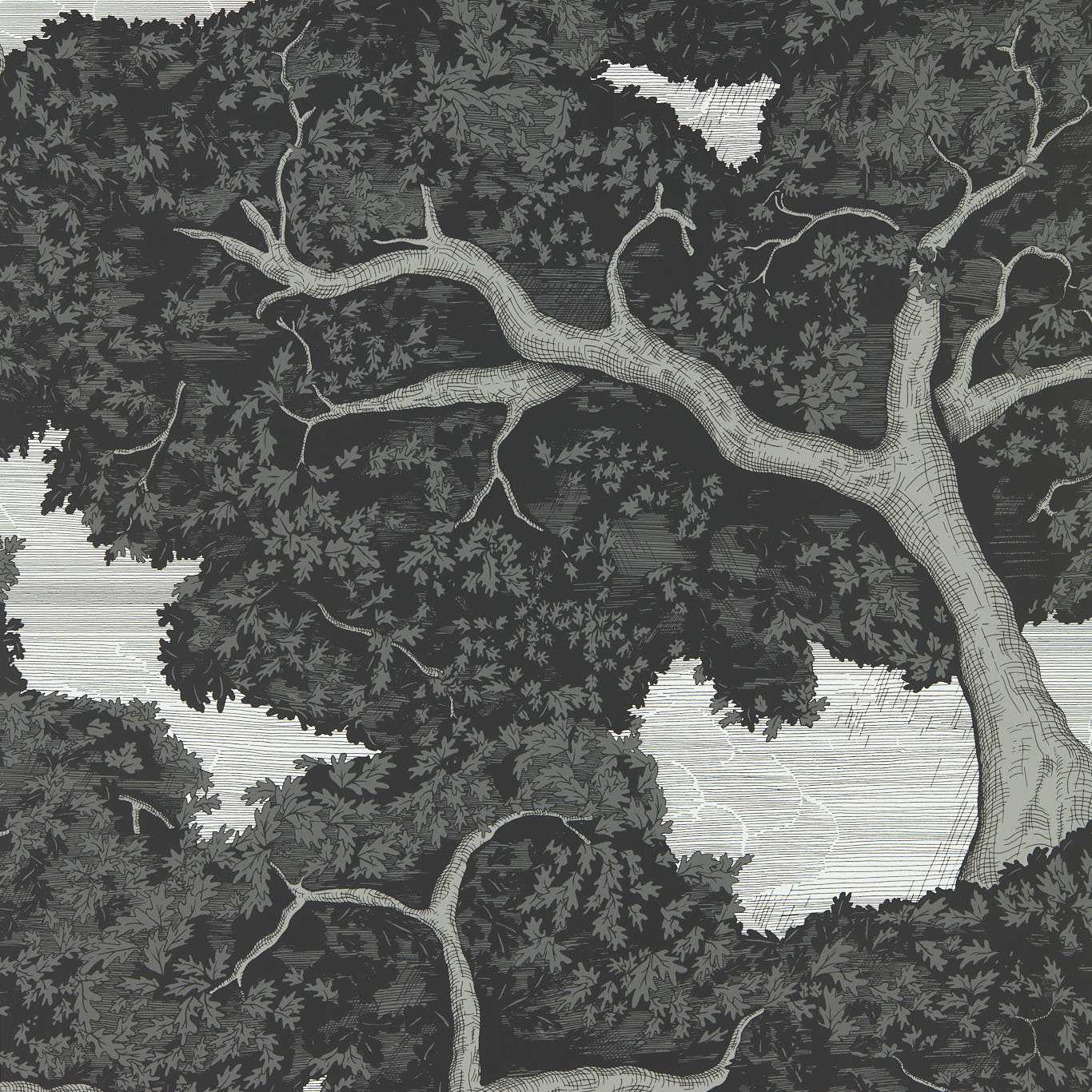 Eternal Oak Wallpaper - Ebony/First Light - HC4W113040 - Harlequin