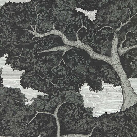 Eternal Oak Wallpaper - Ebony/First Light - HC4W113040 - Harlequin