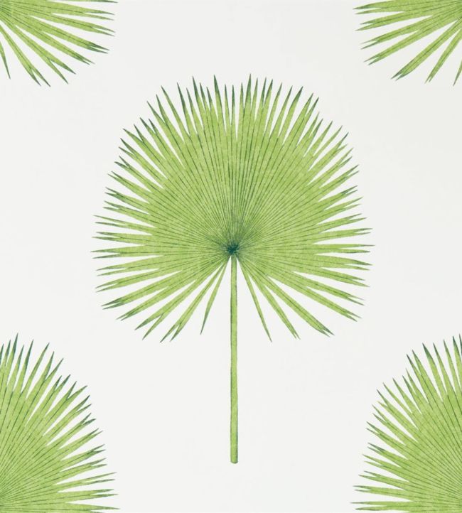 Fan Palm Wallpaper - Botanical Green - DGLW216636 - Sanderson