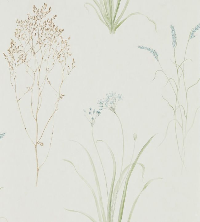 Farne Grasses Wallpaper - Cream/Sage - DEBB216486 - Sanderson