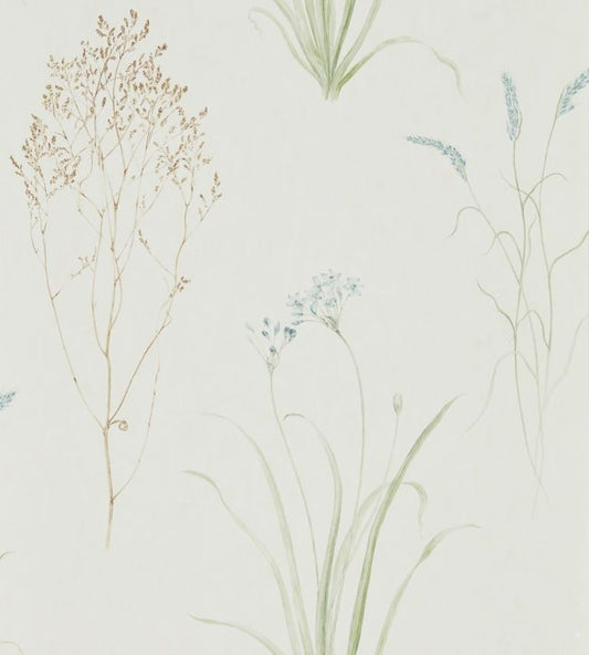 Farne Grasses Wallpaper - Cream/Sage - DEBB216486 - Sanderson