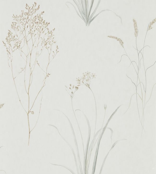 Farne Grasses Wallpaper - Silver/Ivory - DEBB216487 - Sanderson