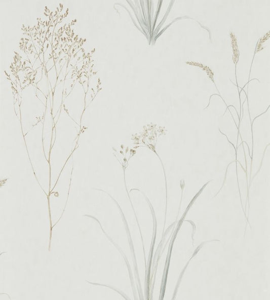Farne Grasses Wallpaper - Silver/Ivory - DEBB216487 - Sanderson