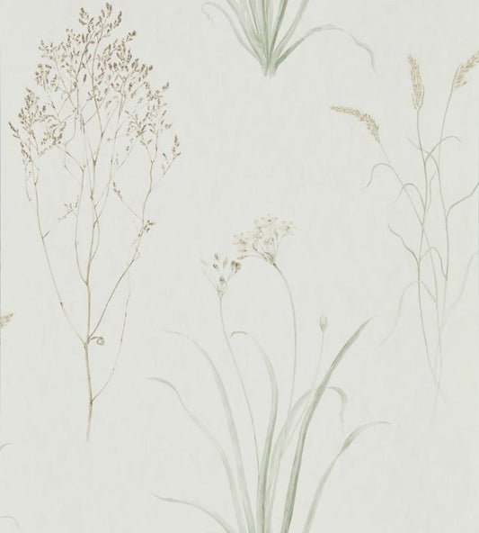 Farne Grasses Wallpaper - Willow/Pebble - DEBB216488 - Sanderson
