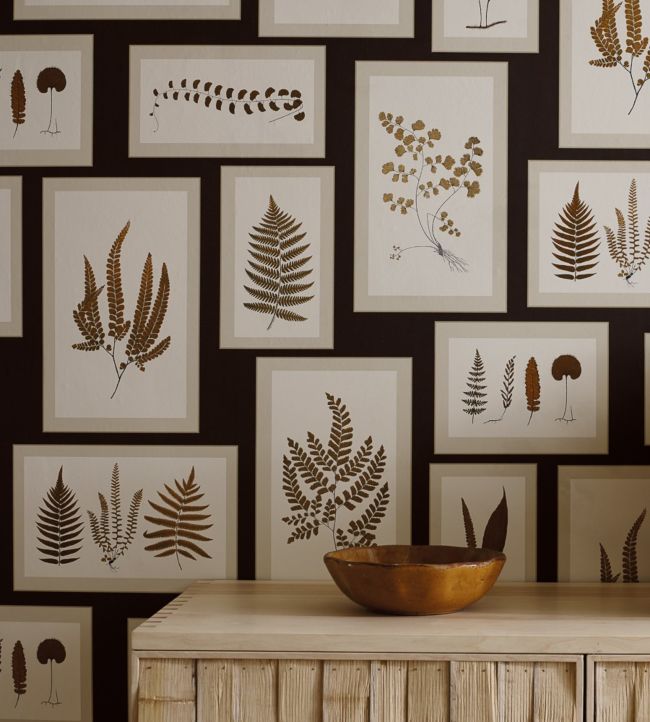Fern Gallery Wallpaper - Charcoal/Spice - DWOW215713 - Sanderson