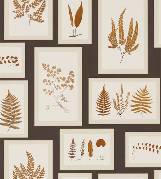 Fern Gallery Wallpaper - Charcoal/Spice - DWOW215713 - Sanderson