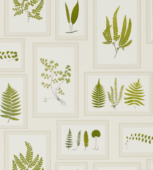 Fern Gallery Wallpaper - Ivory/Green - DWOW215712 - Sanderson