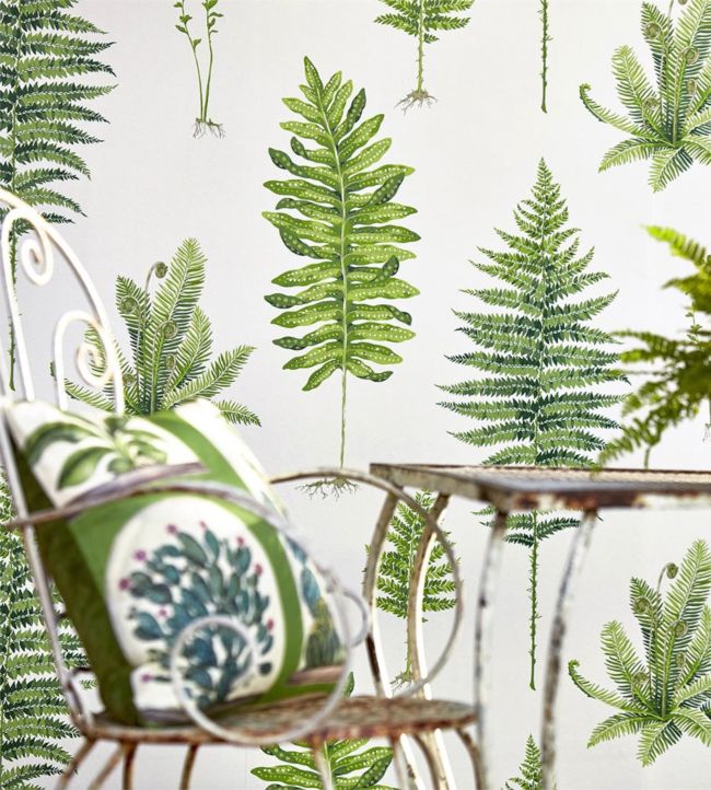 Fernery Wallpaper - Botanical Green - DGLW216633 - Sanderson